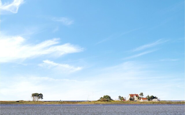 Strandhafer