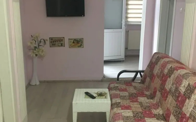 Zeytin Apart