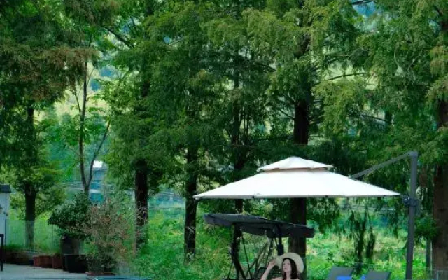 Moganshan YANGSEN · Oxygen Forest Summer Slide Pool Vacation Homestay