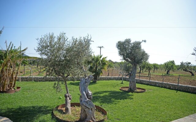 SA Parellada - Premium