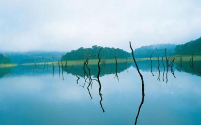 Thekkady Woods