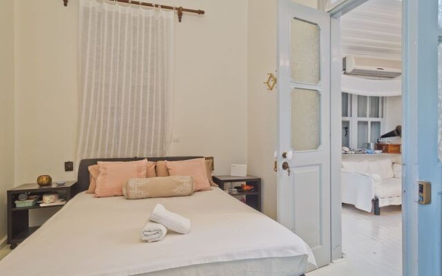 White Traditional House