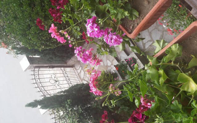 Bella Vista Family Hotel