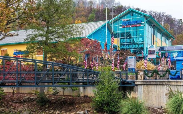 Smoky Mountain Splash