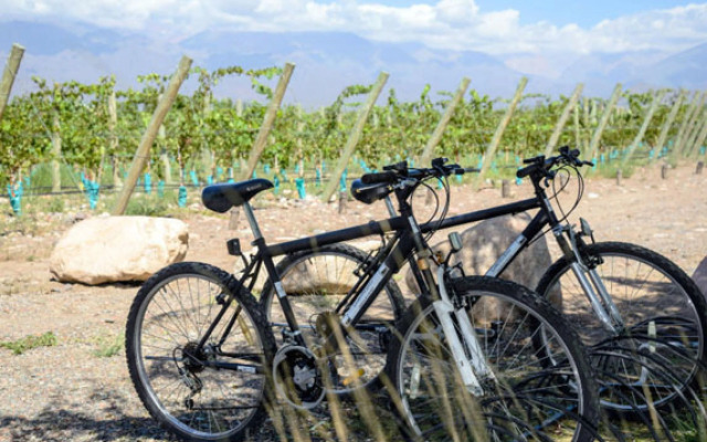 Casa de Huespedes Gimenez Riili