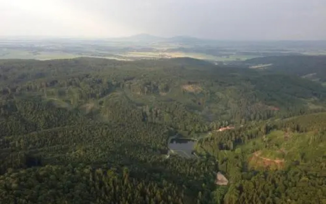 Hotel i Restauracja Złoty Las