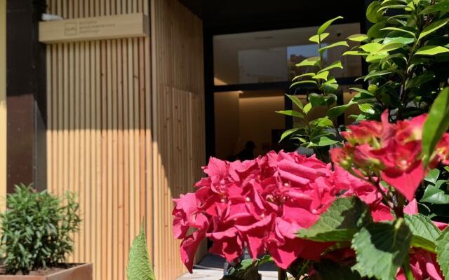 Getaria Apartamentuak Balentziaga