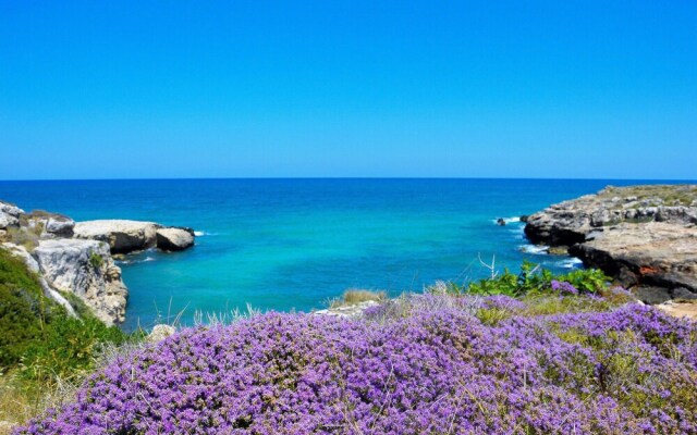 Beautiful Home in Cisternino With 3 Bedrooms and Wifi