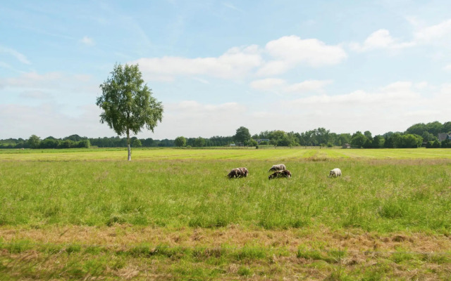 Quaint Farmhouse in Waskemeer near the Forest