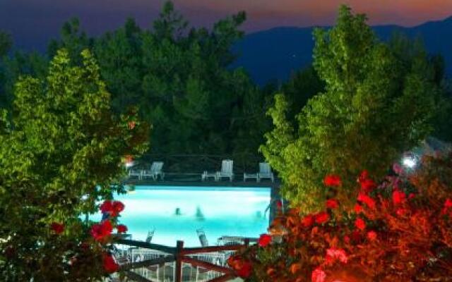 Apollon Camping Delphi