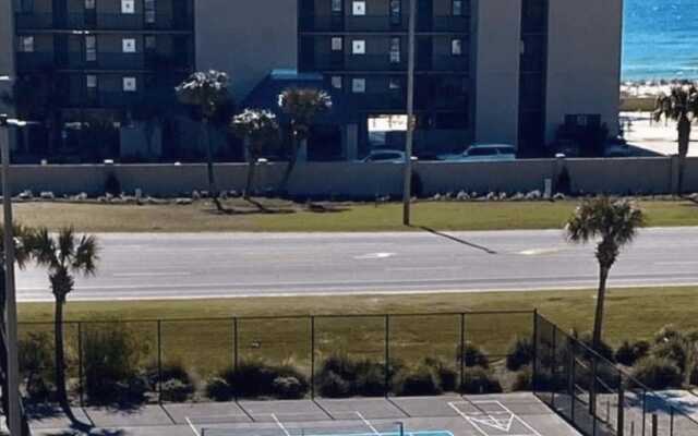 Wind Drift South East 404