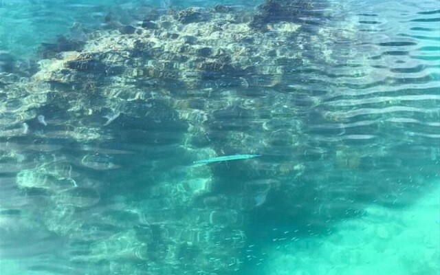 Cupid's Way by Eleuthera Vacation Rentals