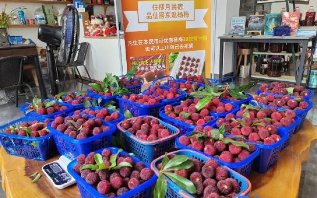 Xianju Liuyue Homestay