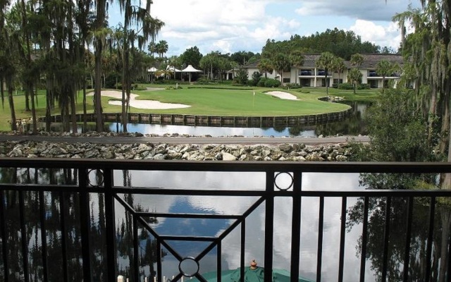 Saddlebrook Golf Resort & Spa Tampa North - Wesley Chapel