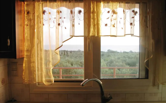 Magical Sunset Flat - in An Olive Grove