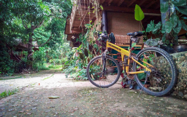 Misty View Guesthouse