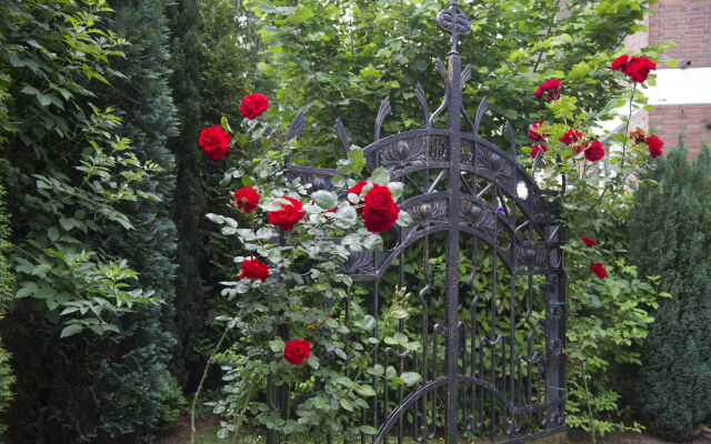 Boutiquehotel Dreesen, Villa Godesberg