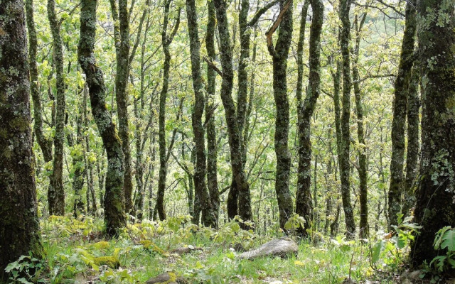 Casa Rural Apartamento La Picota