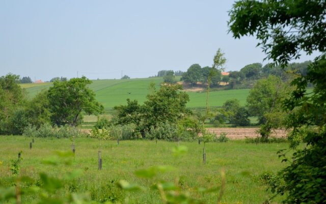 Rural and Charming Holiday Home Near the Cã´te D'opale