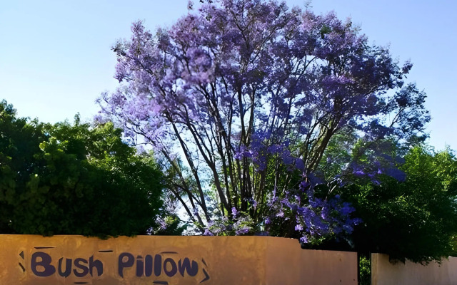 Bush Pillow Guest House