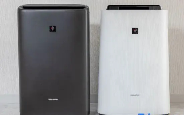 Japavista Xenith Premium