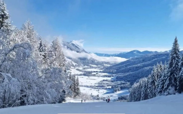 Holiday Home in Carinthia Near ski Area
