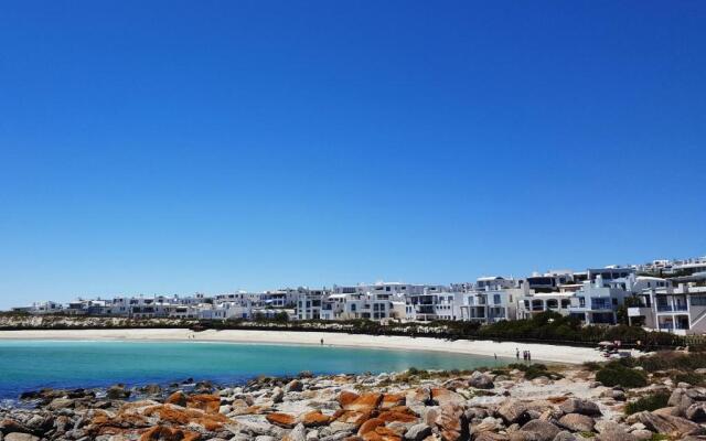 Zeewolf Langebaan