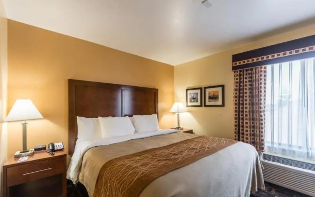 Comfort Inn and Suites North Aurora