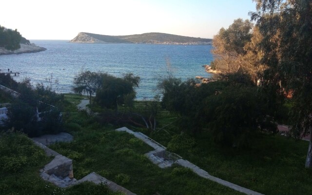 Gül Apart