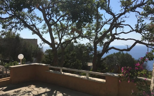 Scogliera del Gabbiano