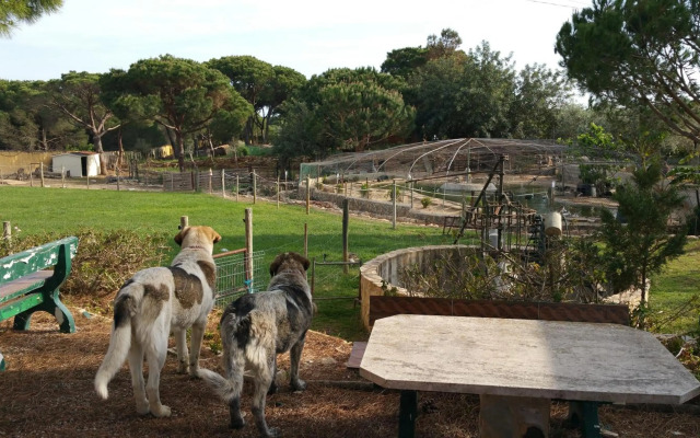 Quinta Vita - Vila Pera