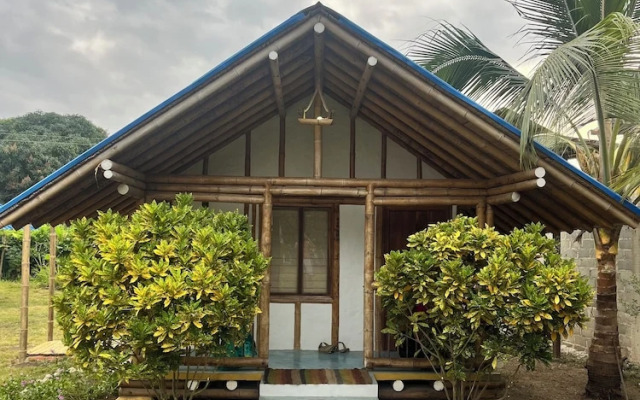 Tree of Life - Hostel