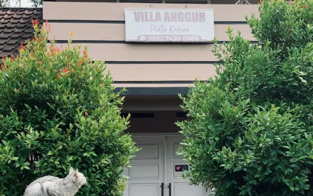 Vila Anggur Pintukabun