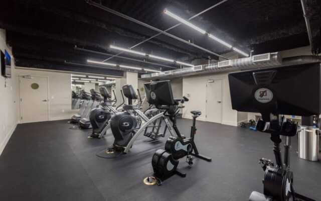 Spacious Modern Condo near French Quarter