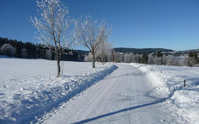 Bio- und Wellnesshotel Alpenblick