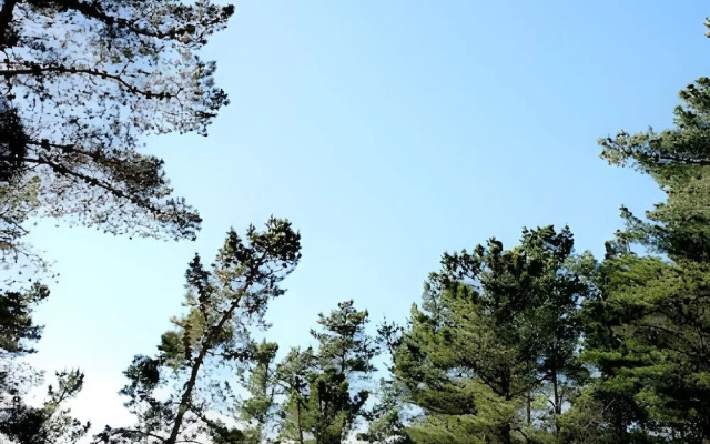 Cabañas del Cerro 2