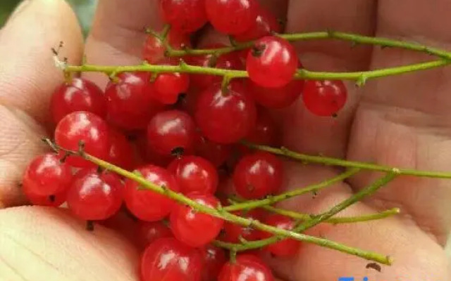 Xuexiang Erlanghe Liuzhengfang Family Hotel