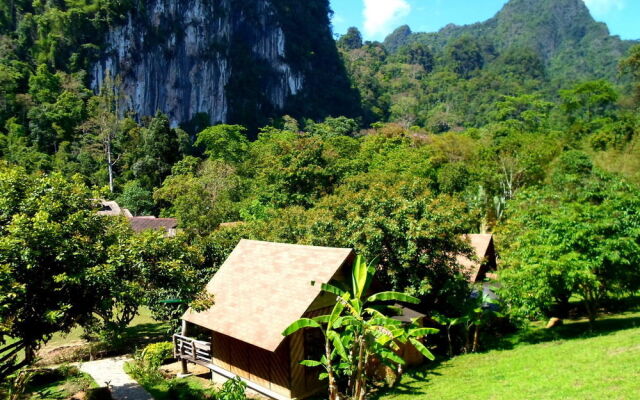 Cliff And River Jungle