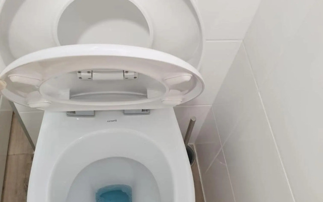 Ruža Apartmani Zadar