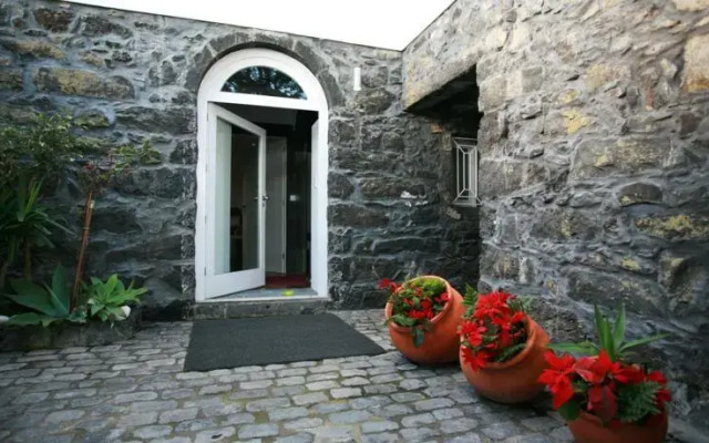 Casa da Árvore