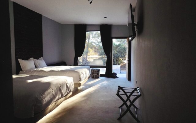 Pulso Valle de Guadalupe