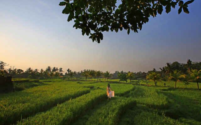 Wapa di Ume Ubud Resort & Spa