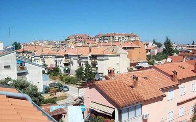 Pansion Comfort Exclusive