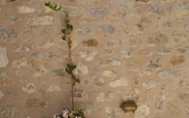 To Karavi Guesthouse