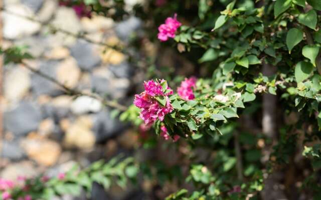 HomeLike Charming Rustic House El Pinar