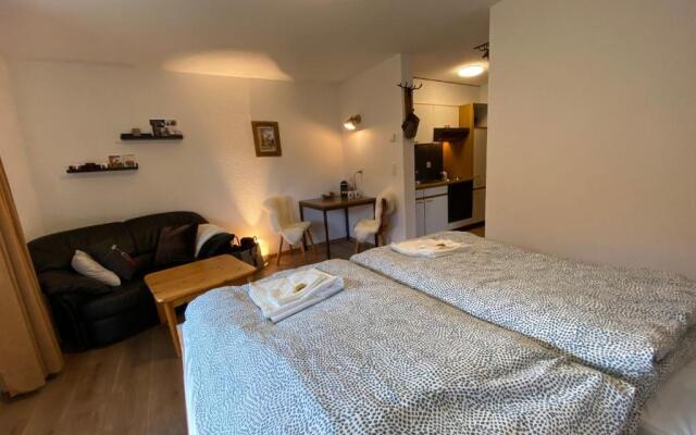 Haus Alpalin - 2 adjacent studios 'Mischabel', cosy, central, 4p