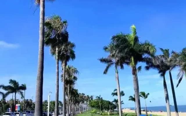 Xiamen | Meet Guanke SeasideCourtyard Family Homestay (Botanical Garden)