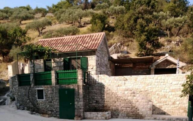 Guesthouse Cvitina Lovrečina