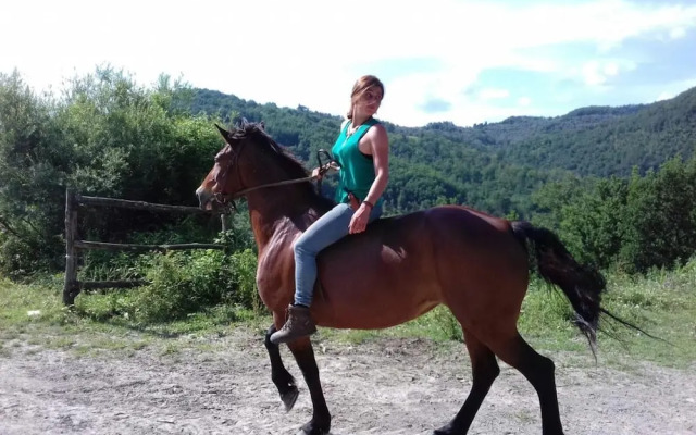 Le Chianine dei Tognoli