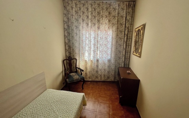 Alma Hostel